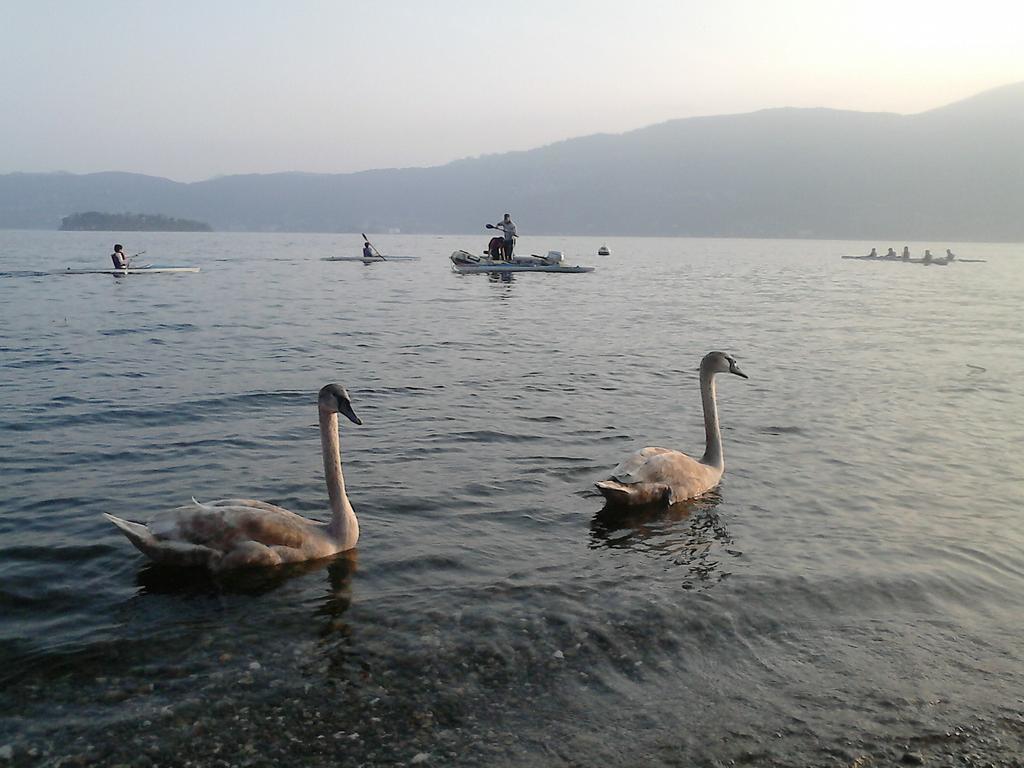 Cossogno B&B Il Castello Lago Maggiore Con Terrazza מראה חיצוני תמונה